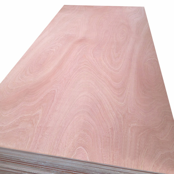 Sapele Plywood